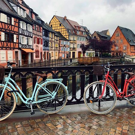 Gites Du Ladhof Colmar Exterior foto